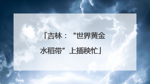 吉林：“世界黄金水稻带”上插秧忙