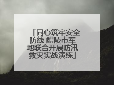 同心筑牢安全防线 醴陵市军地联合开展防汛救灾实战演练