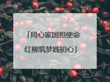 同心家国担使命 红柳筑梦践初心