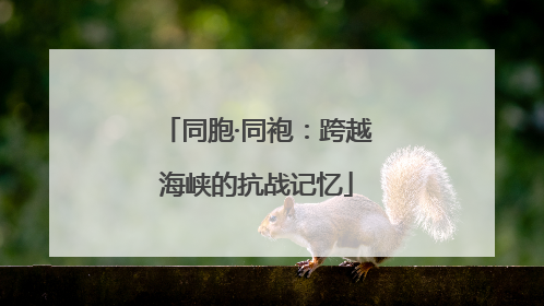 同胞·同袍：跨越海峡的抗战记忆