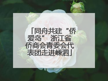 同舟共建“侨爱岛” 浙江省侨商会青委会代表团走进嵊泗