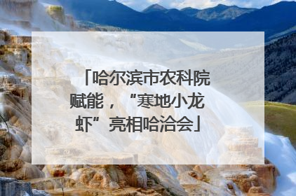 哈尔滨市农科院赋能，“寒地小龙虾”亮相哈洽会