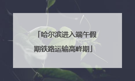 哈尔滨进入端午假期铁路运输高峰期