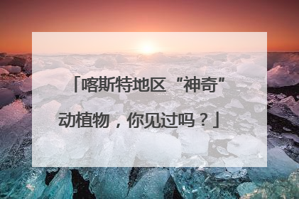 喀斯特地区“神奇”动植物，你见过吗？