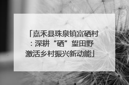 嘉禾县珠泉镇富硒村：深耕“硒”望田野 激活乡村振兴新动能
