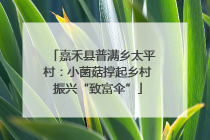 嘉禾县普满乡太平村：小菌菇撑起乡村振兴“致富伞”