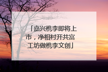 嘉兴槜李即将上市，净相村开共富工坊做槜李文创