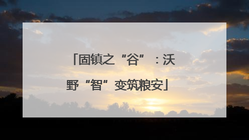 固镇之“谷”：沃野“智”变筑粮安