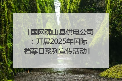 国网确山县供电公司：开展2025年国际档案日系列宣传活动