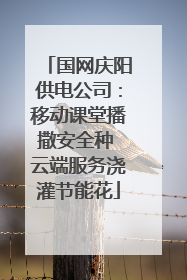 国网庆阳供电公司：移动课堂播撒安全种 云端服务浇灌节能花