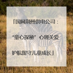 国网荆州供电公司：“童心探秘”心理关爱护航留守儿童成长