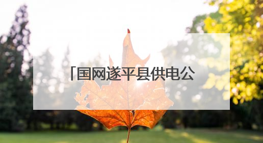 国网遂平县供电公司：强化安全意识 筑牢网安防线