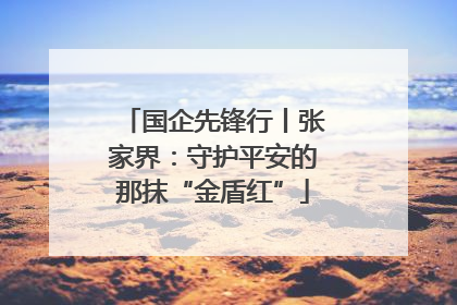 国企先锋行丨张家界：守护平安的那抹“金盾红”