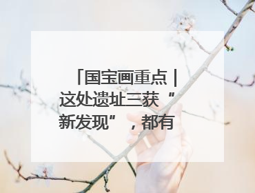 国宝画重点｜这处遗址三获“新发现”，都有啥看点？
