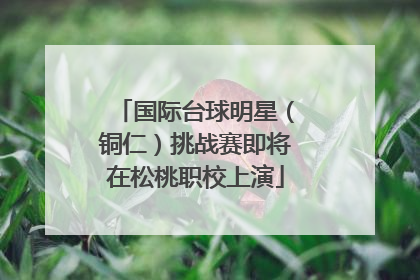 国际台球明星（铜仁）挑战赛即将在松桃职校上演