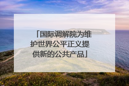 国际调解院为维护世界公平正义提供新的公共产品
