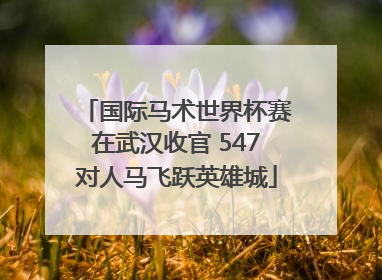 国际马术世界杯赛在武汉收官 547对人马飞跃英雄城