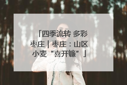 四季流转 多彩枣庄｜枣庄：山区小麦“喜开镰”