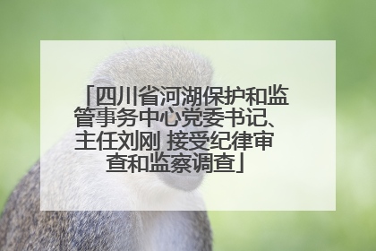 四川省河湖保护和监管事务中心党委书记、主任刘刚 接受纪律审查和监察调查