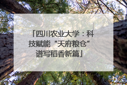 四川农业大学：科技赋能“天府粮仓”谱写稻香新篇