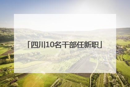 四川10名干部任新职