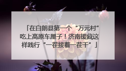 在白朗县第一个“万元村”吃上高原车厘子！济南援藏这样践行“一茬接着一茬干”