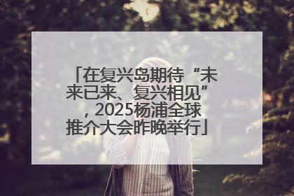 在复兴岛期待“未来已来、复兴相见”，2025杨浦全球推介大会昨晚举行