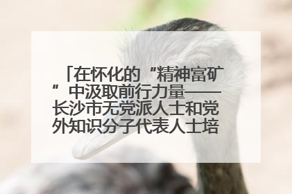 在怀化的“精神富矿”中汲取前行力量——长沙市无党派人士和党外知识分子代表人士培训班在怀化圆满举办