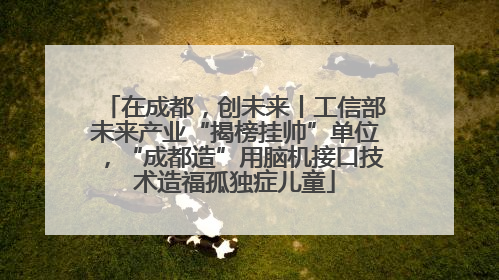 在成都，创未来丨工信部未来产业“揭榜挂帅”单位，“成都造”用脑机接口技术造福孤独症儿童