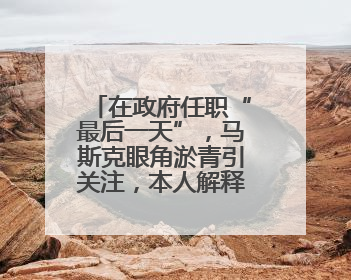 在政府任职“最后一天”，马斯克眼角淤青引关注，本人解释：儿子干的