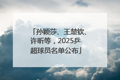 孙颖莎、王楚钦、许昕等，2025乒超球员名单公布