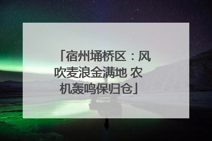 宿州埇桥区：风吹麦浪金满地 农机轰鸣保归仓