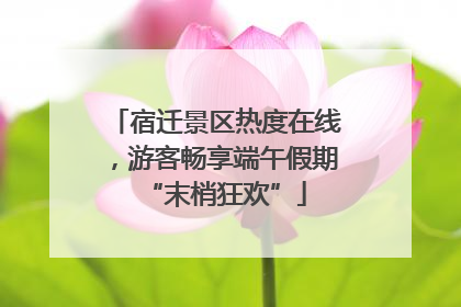 宿迁景区热度在线，游客畅享端午假期“末梢狂欢”