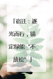 宿迁：逐光而行，锚定绿能“不放松”