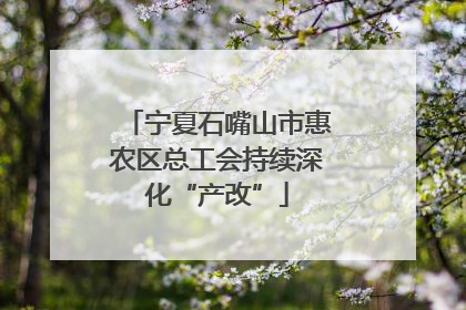 宁夏石嘴山市惠农区总工会持续深化“产改”