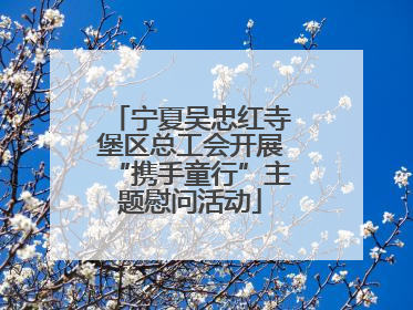 宁夏吴忠红寺堡区总工会开展“携手童行”主题慰问活动
