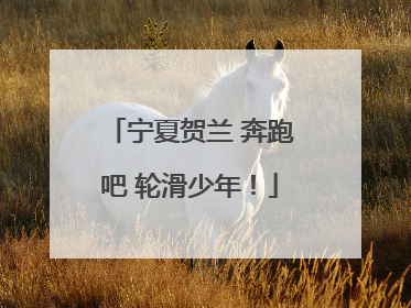 宁夏贺兰 奔跑吧 轮滑少年！