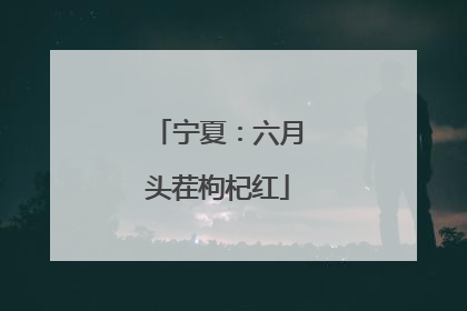 宁夏：六月头茬枸杞红
