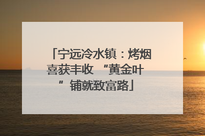 宁远冷水镇：烤烟喜获丰收 “黄金叶”铺就致富路