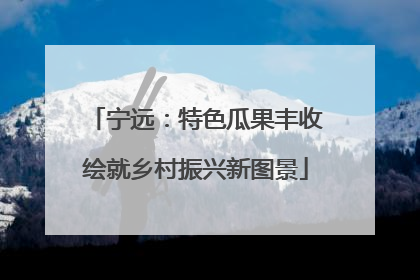 宁远：特色瓜果丰收绘就乡村振兴新图景