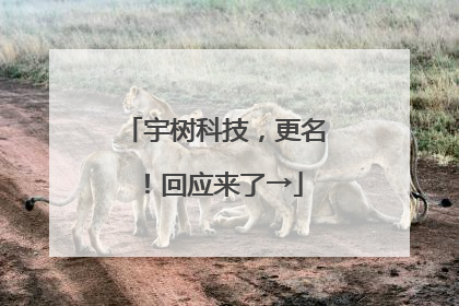 宇树科技，更名！回应来了→