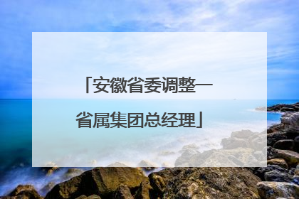 安徽省委调整一省属集团总经理