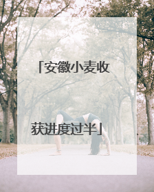 安徽小麦收获进度过半