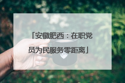 安徽肥西：在职党员为民服务零距离