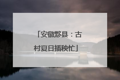 安徽黟县：古村夏日插秧忙
