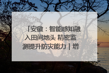 安徽：智能感知融入田间地头 精密监测提升防灾能力｜增发国债气象项目落地见效系列报道