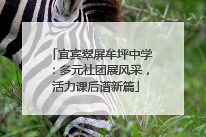 宜宾翠屏牟坪中学：多元社团展风采，活力课后谱新篇