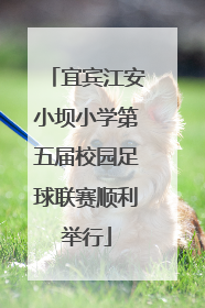 宜宾江安小坝小学第五届校园足球联赛顺利举行