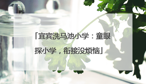 宜宾洗马池小学：童眼探小学，衔接没烦恼