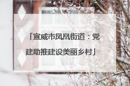 宣威市凤凰街道：党建助推建设美丽乡村